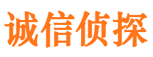 班戈侦探公司